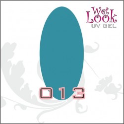 Gel Color Wet Look 5g #013